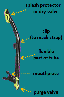 Snorkel - parts labelled
